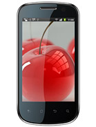 Best available price of Celkon A19 in Iraq