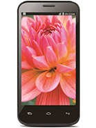 Best available price of Lava Iris 505 in Iraq