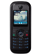 Best available price of Motorola W205 in Iraq