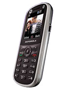 Best available price of Motorola WX288 in Iraq