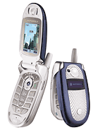 Best available price of Motorola V560 in Iraq