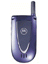 Best available price of Motorola V66i in Iraq